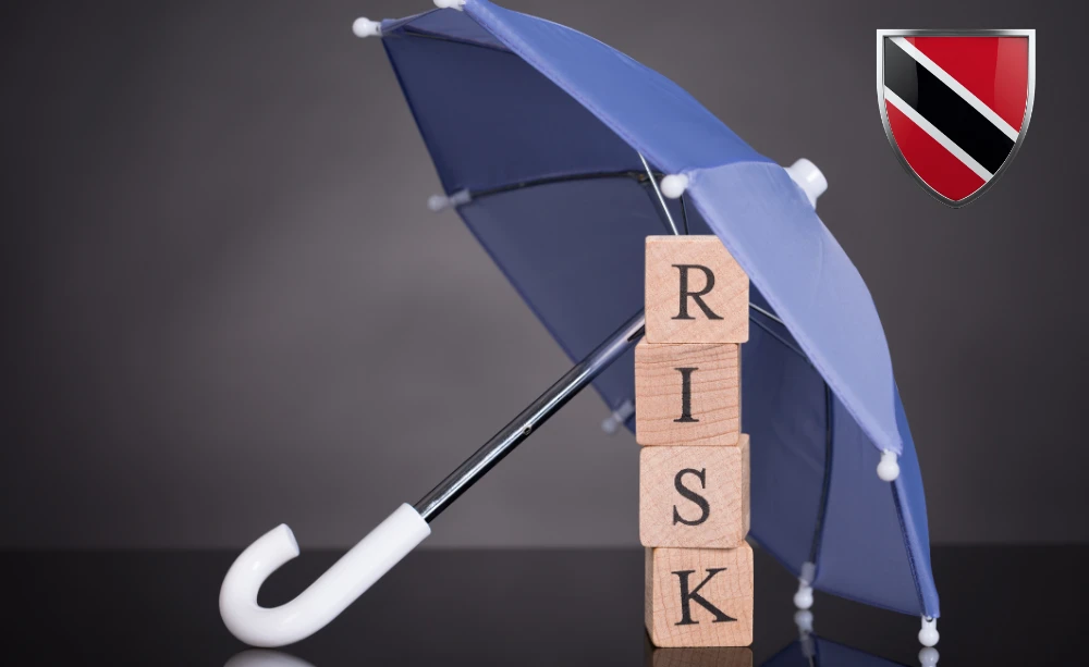 Risk and Threat Management